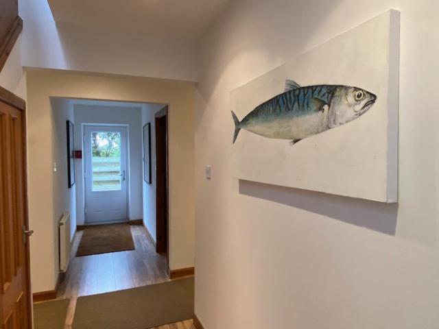 Quinag - Luxury Villa With Sea Views In Achiltibuie Екстериор снимка